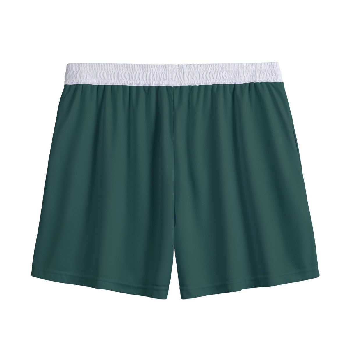 Michigan State Mesh Shorts