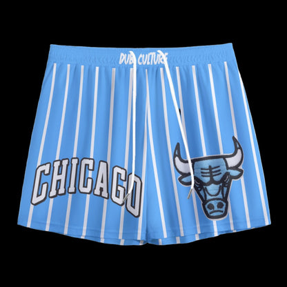 Chicago Bulls Pinstripe Mesh Shorts