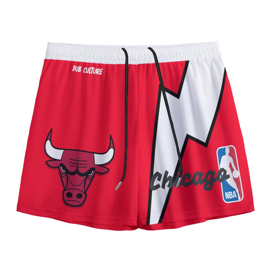 Chicago Bulls Mesh Shorts